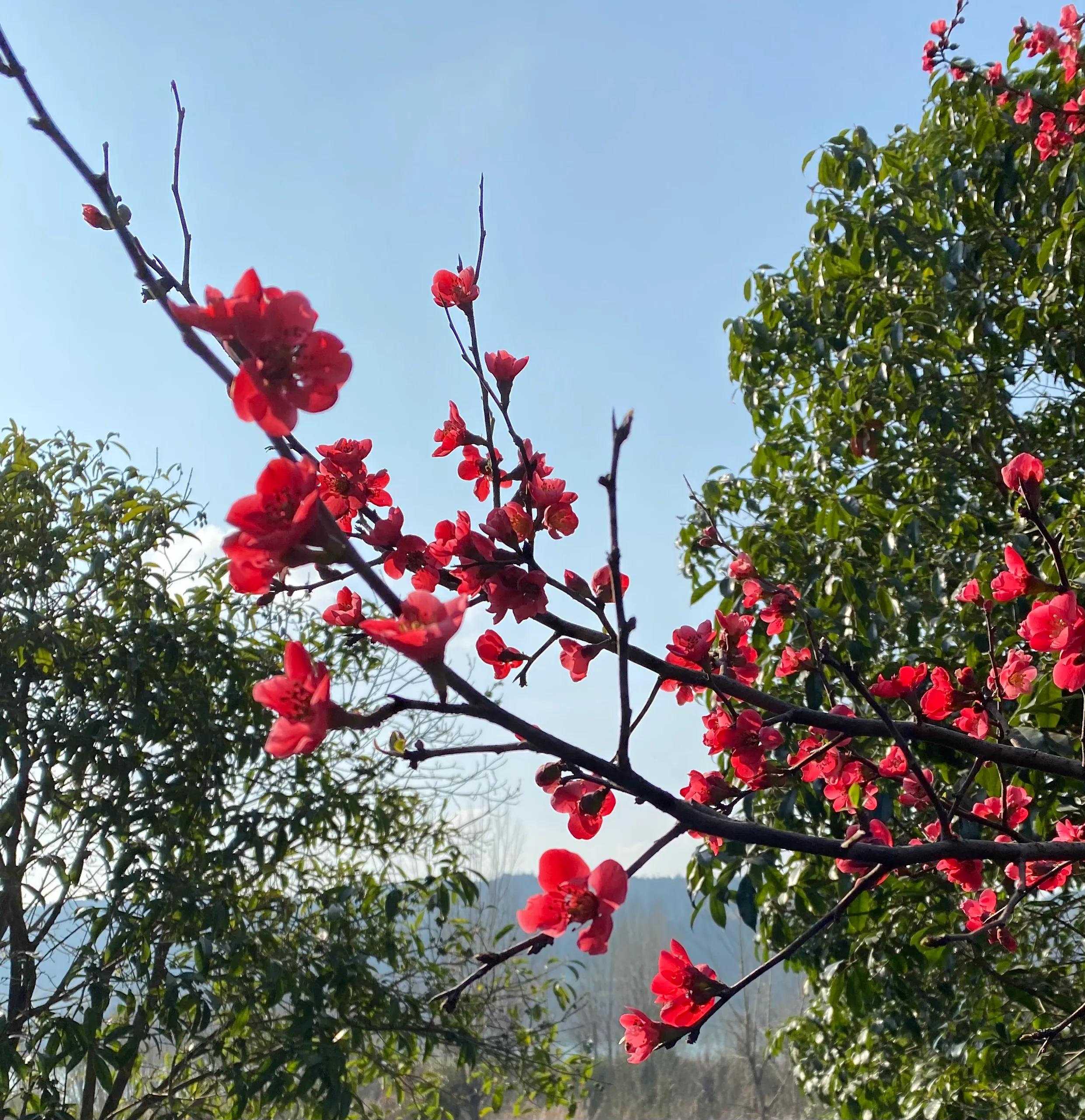 善良的种子,善良的种子故事