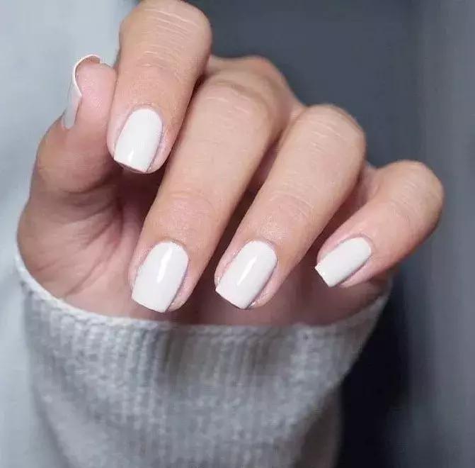 林允被吐槽买东西,林允平价好物分享综艺