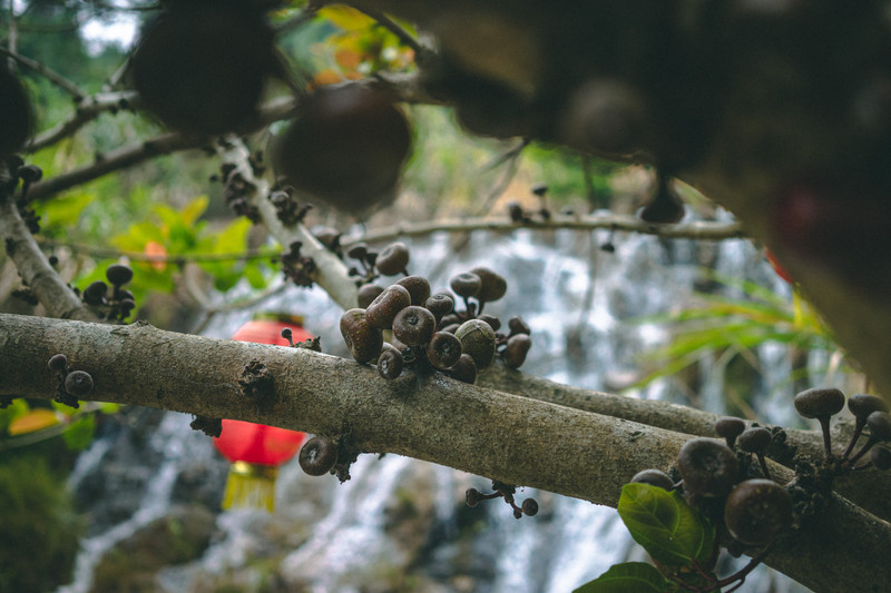 广东云浮好去处,广东云浮旅游攻略大全
