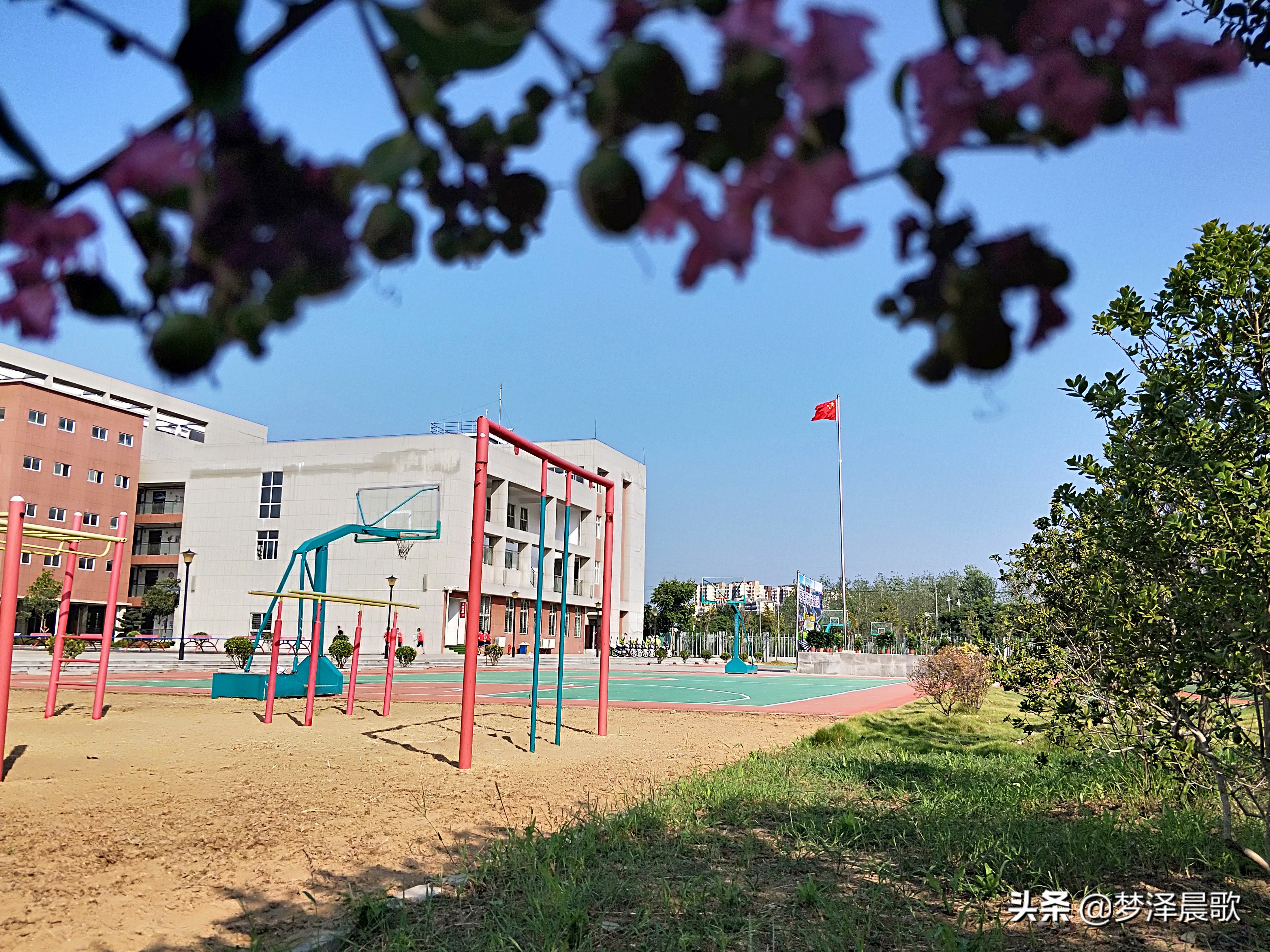 弘扬传统文化打造书香校园图片,传承红色基因创建绿美校园