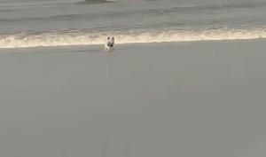 钱塘江观潮最佳时间和地点最近,钱塘江大潮最佳免费观潮地点在哪