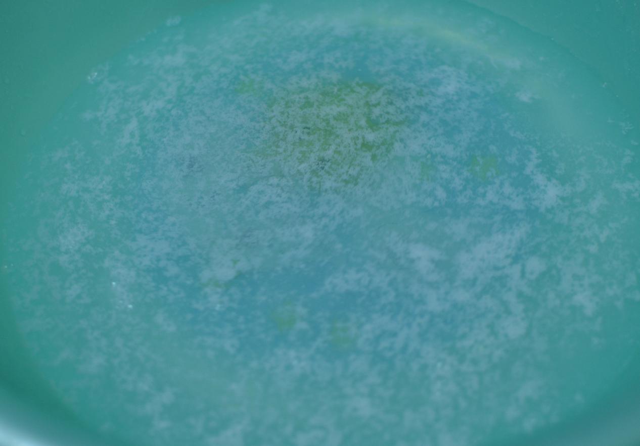 米家软水机,接入米家的智能软水机