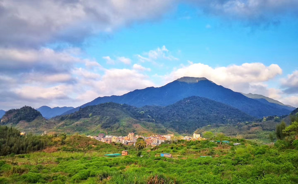 从化挖笋的地方,从化旅游攻略夏日旅行