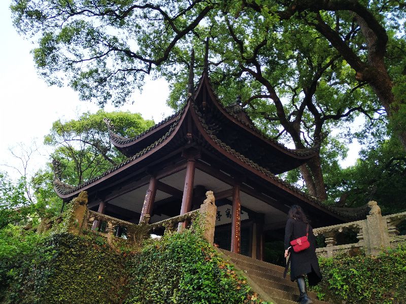 林逋隐居西湖孤山,林逋隐居杭州孤山阅读答案