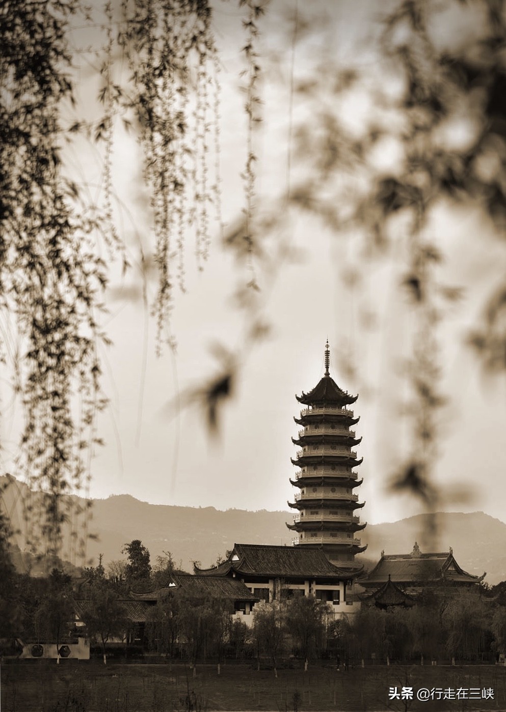 纯色摄影,纯色摄影店