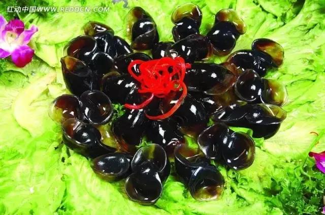 渔民海鲜大全,渔民整理的海鲜河鲜大全