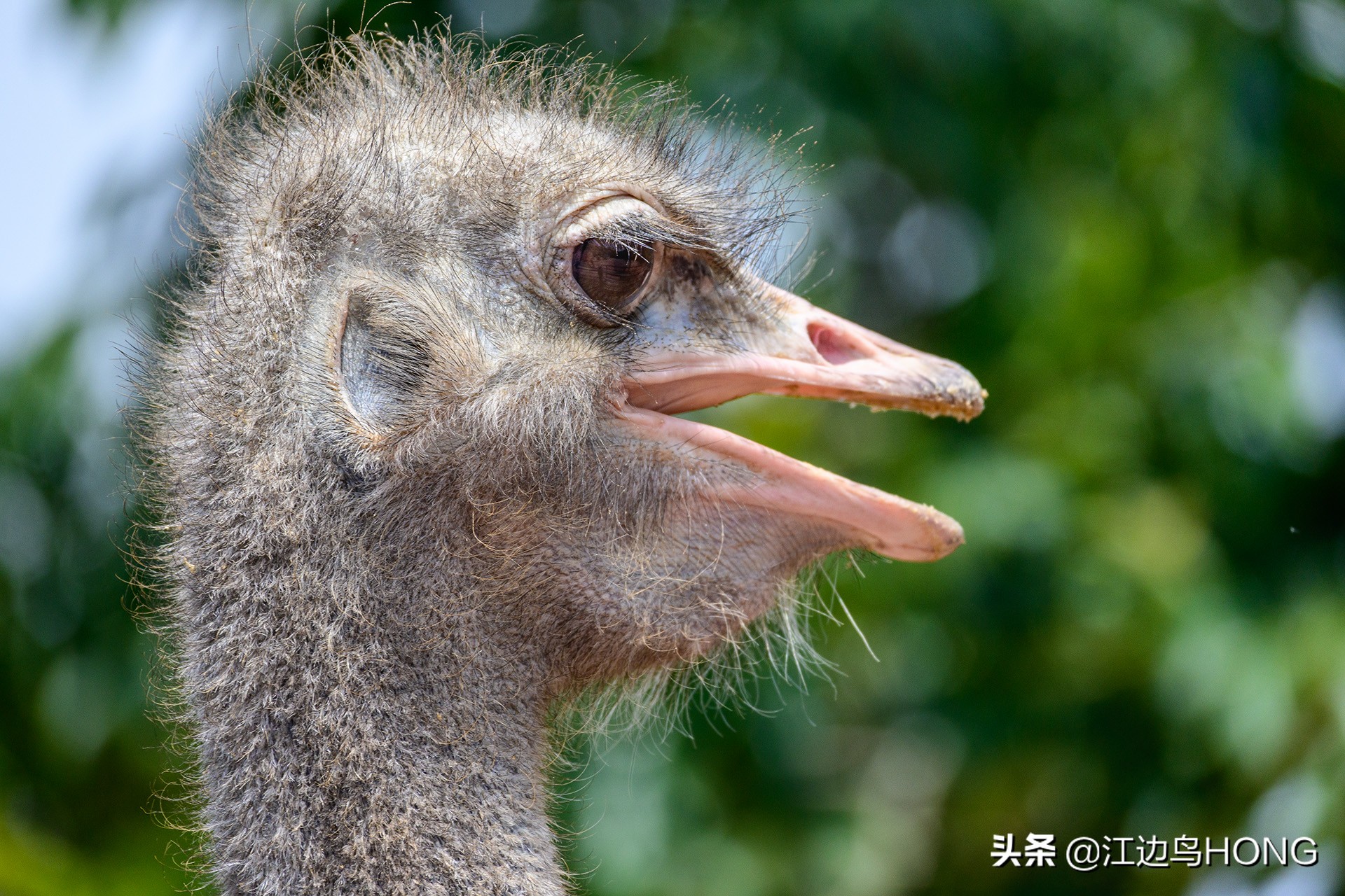 尼康z50双头套机价格,尼康z套机最低价7849