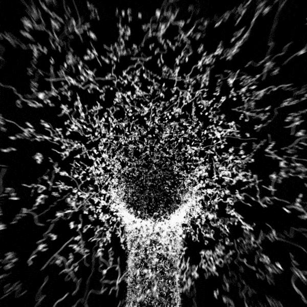 失眠看什么动态图片,严重失眠的动图