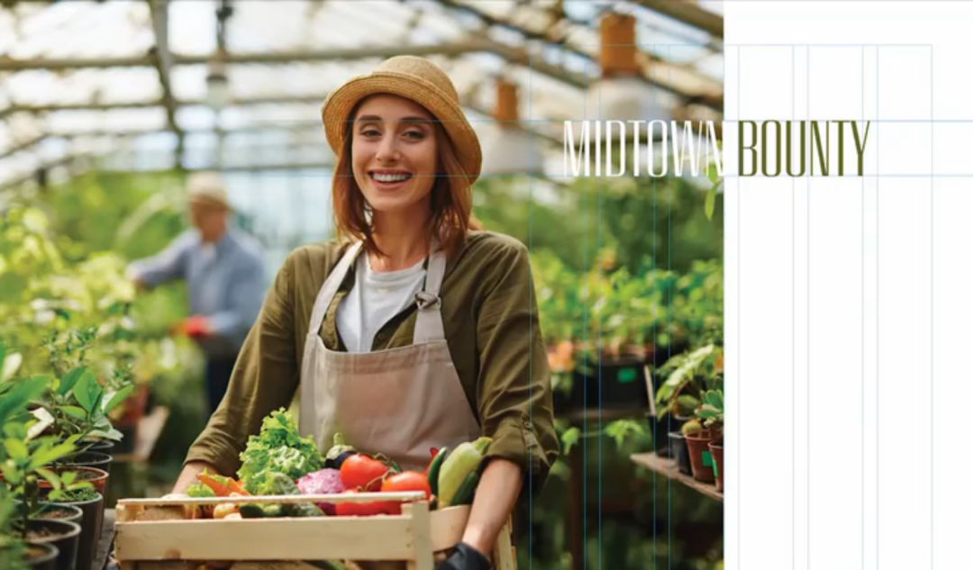 设计布局大全,设计师布局技巧