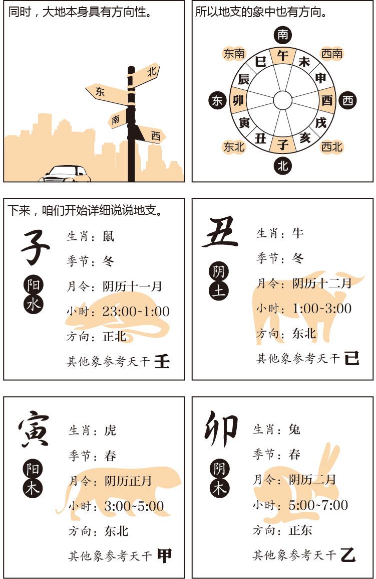 漫画四柱命理,漫画八字命理全集解析