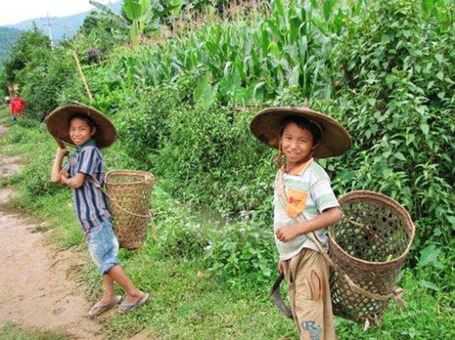 缅甸目前现状与原因,缅甸人看待缅甸局势