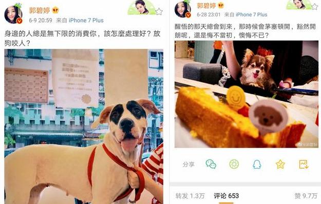 向佐的七段恋情,向佐自曝谈过7段恋爱