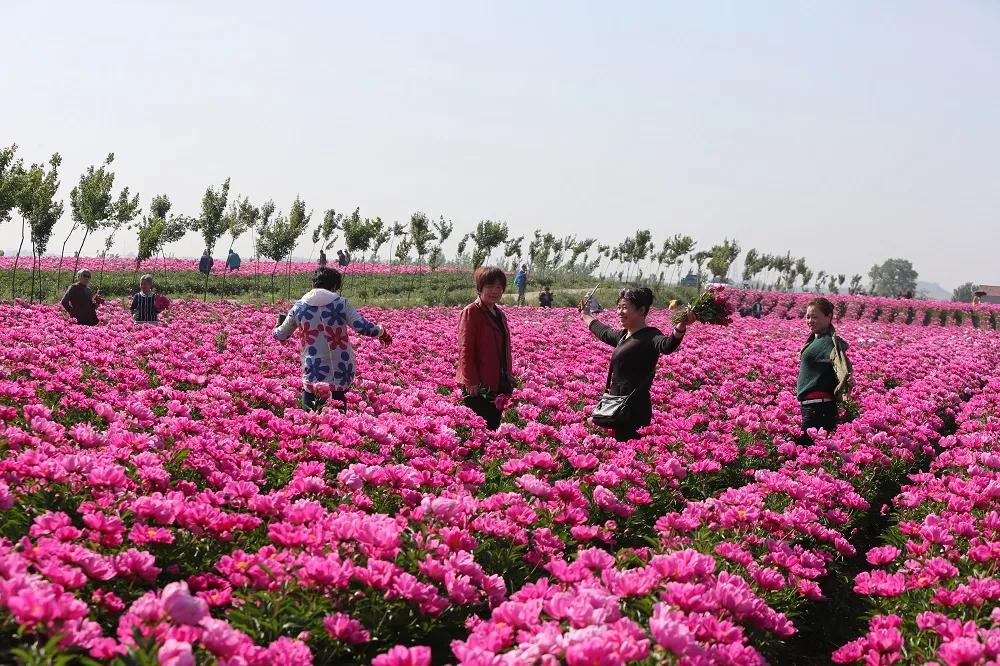 滁州市美景,安徽滁州美丽风景冬天视频