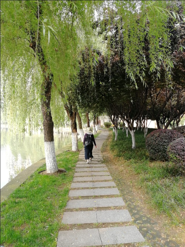 武汉菱角湖公园有亭子吗,武汉菱角湖公园开放时间