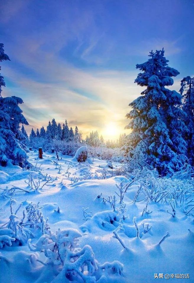 6月到了，送你6花6蝶6鸟6景6曲6诗，这月顺顺利利。