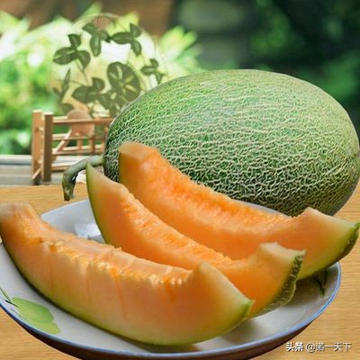 旅行新疆的美,旅行带你感受不一样的文化风情