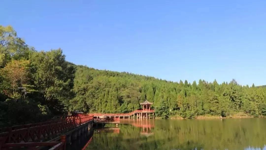 骞垮厓蹇箰椹跨珯鏃呮父鏀荤暐,鍘诲箍鍏冪殑鏀荤暐璺嚎鎺ㄨ崘
