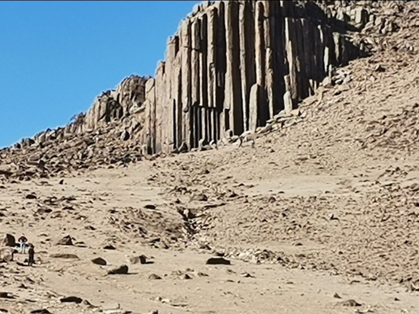 太仆人口,太仆寺旗人
