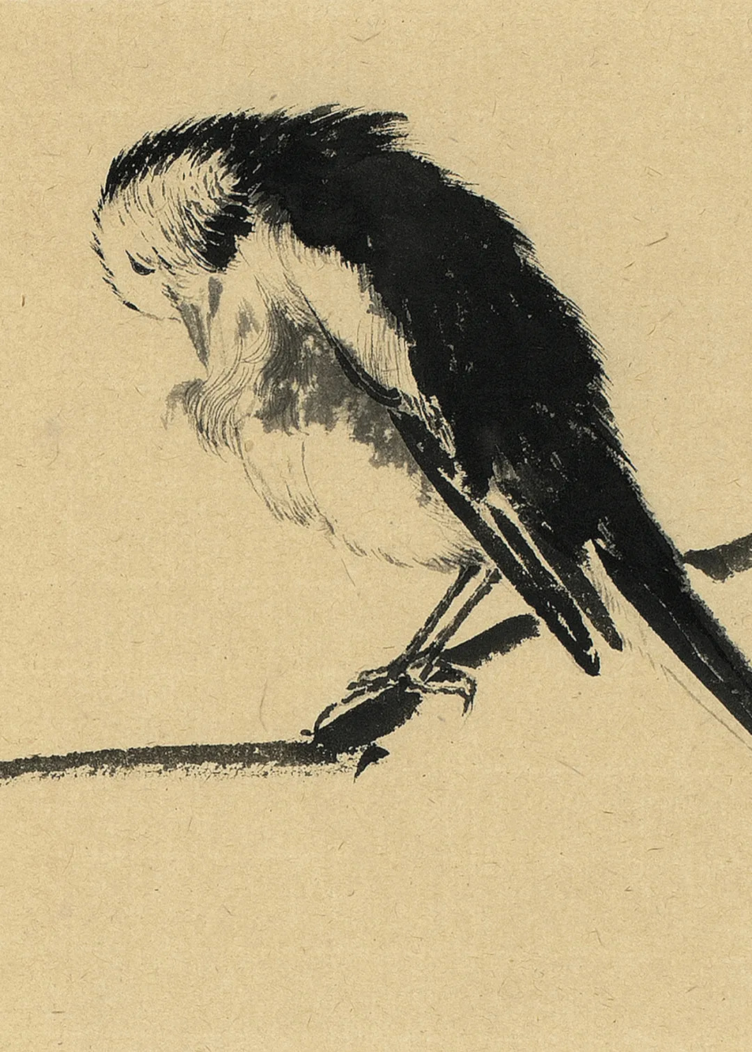 时风丨李乐然：我们这一代