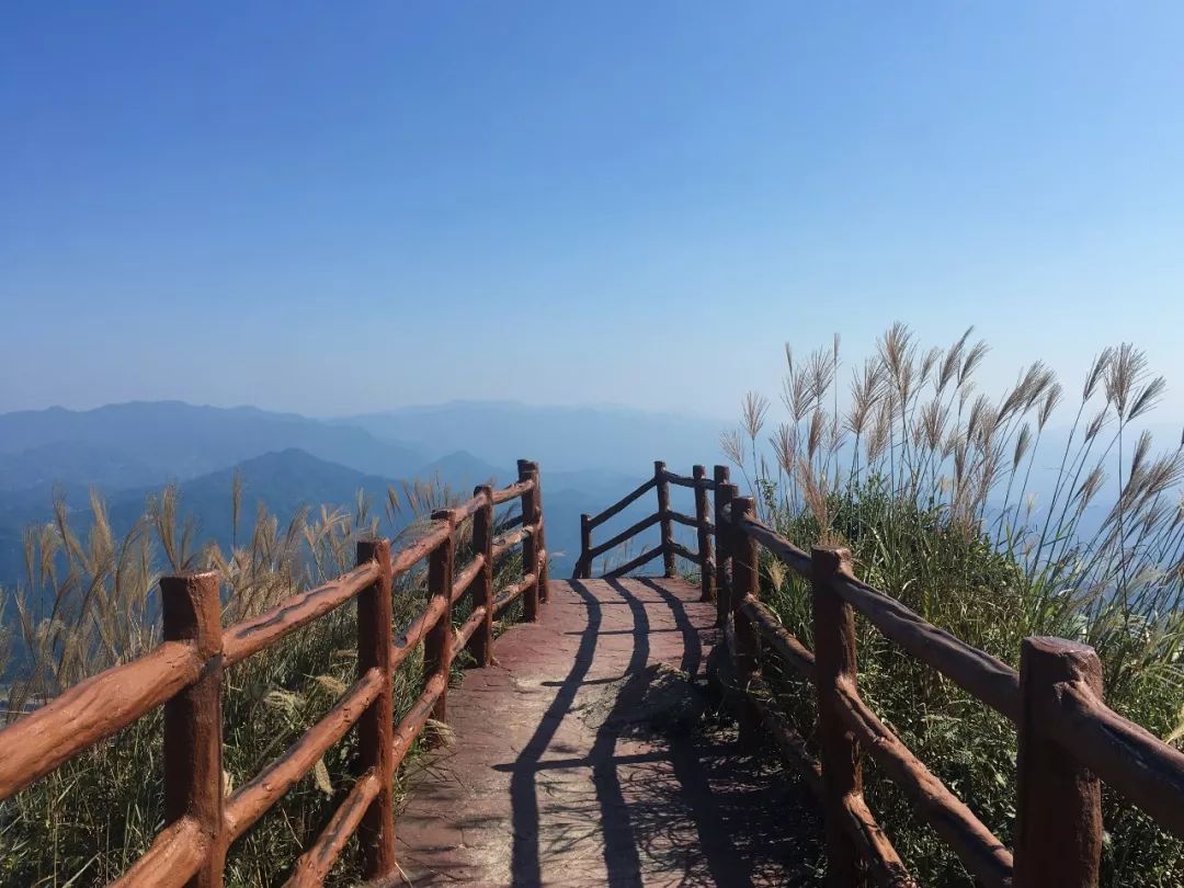 朋友圈推荐个免费又好玩的地方,广东人周末去哪玩小众景点