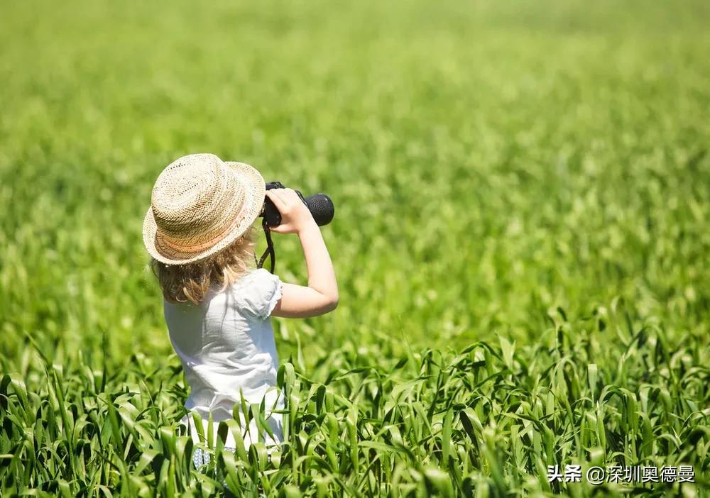 深圳儿童夏令营排行榜,深圳夏令营沙漠
