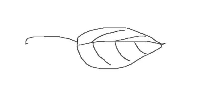 水彩密密麻麻的树叶怎么画,水彩画教程入门叶子