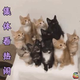 卵巢老化能彻底根治吗,老年人卵巢保养靠谱吗