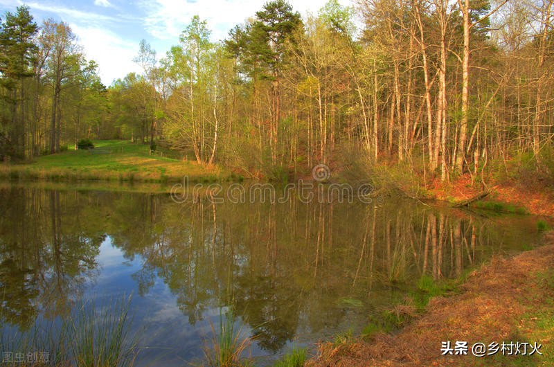 为什么有的养殖户会往鱼塘里撒尿素？怎样撒尿素才是正确的？