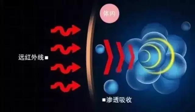 腿粗屁股大显瘦镰刀裤,腿粗屁股大显瘦裤