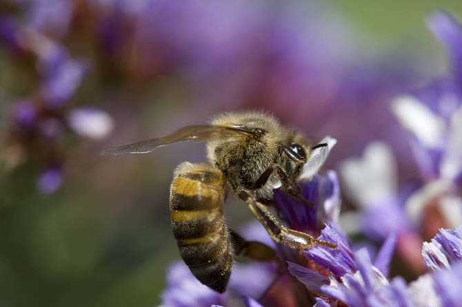 童瑶吃鲱鱼罐头,乡村美食童谣完整版
