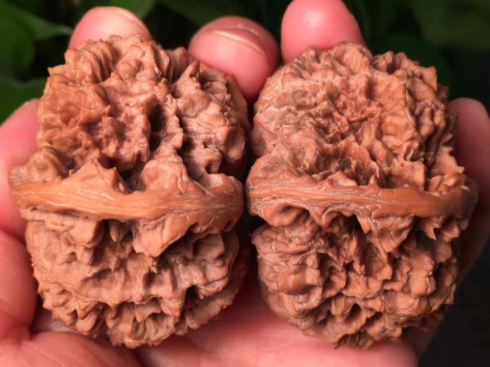 文玩核桃盘玩六大误区,盘玩文玩核桃必学的几个技巧