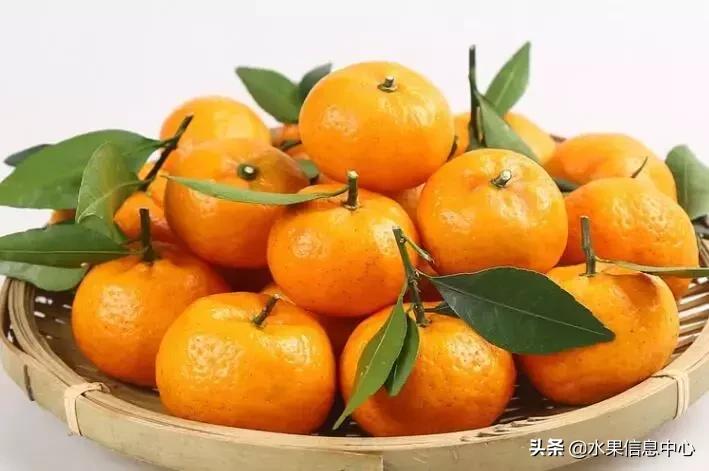 中国水果大全,中国水果大全图片和名字