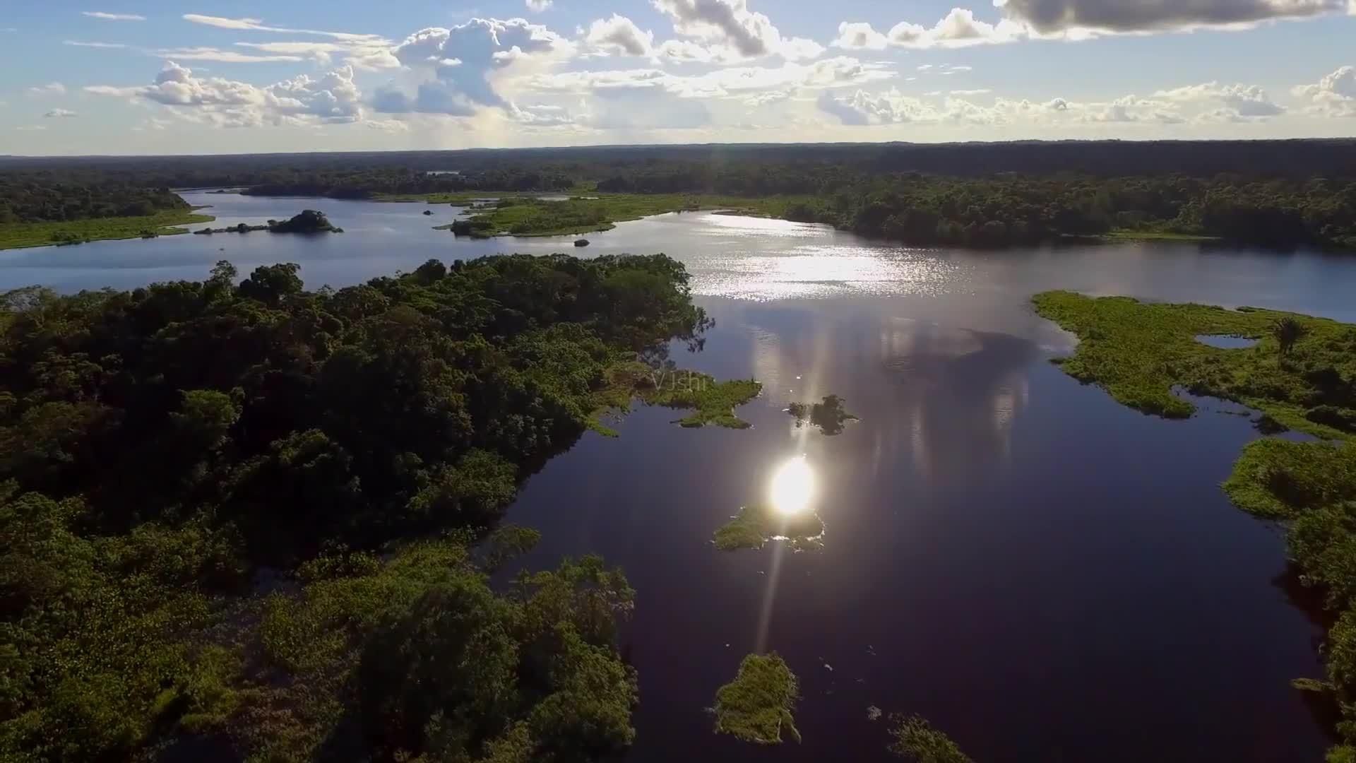 探秘亚马逊热带雨林十大恐怖动物,亚马逊的雨林为什么叫人类禁区