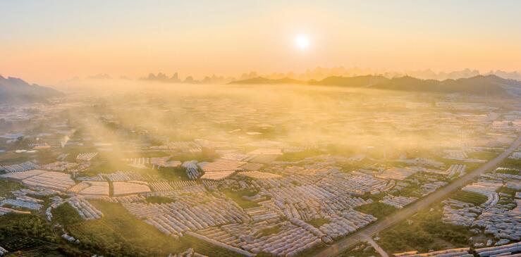 广西乡村振兴人才培养计划,广西推动乡村人才振兴若干措施