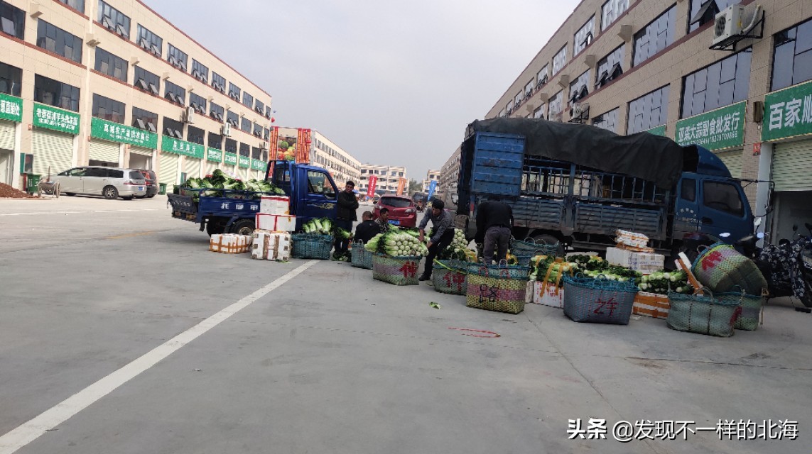 北海冷链物流园,广西农产品生鲜配送中心