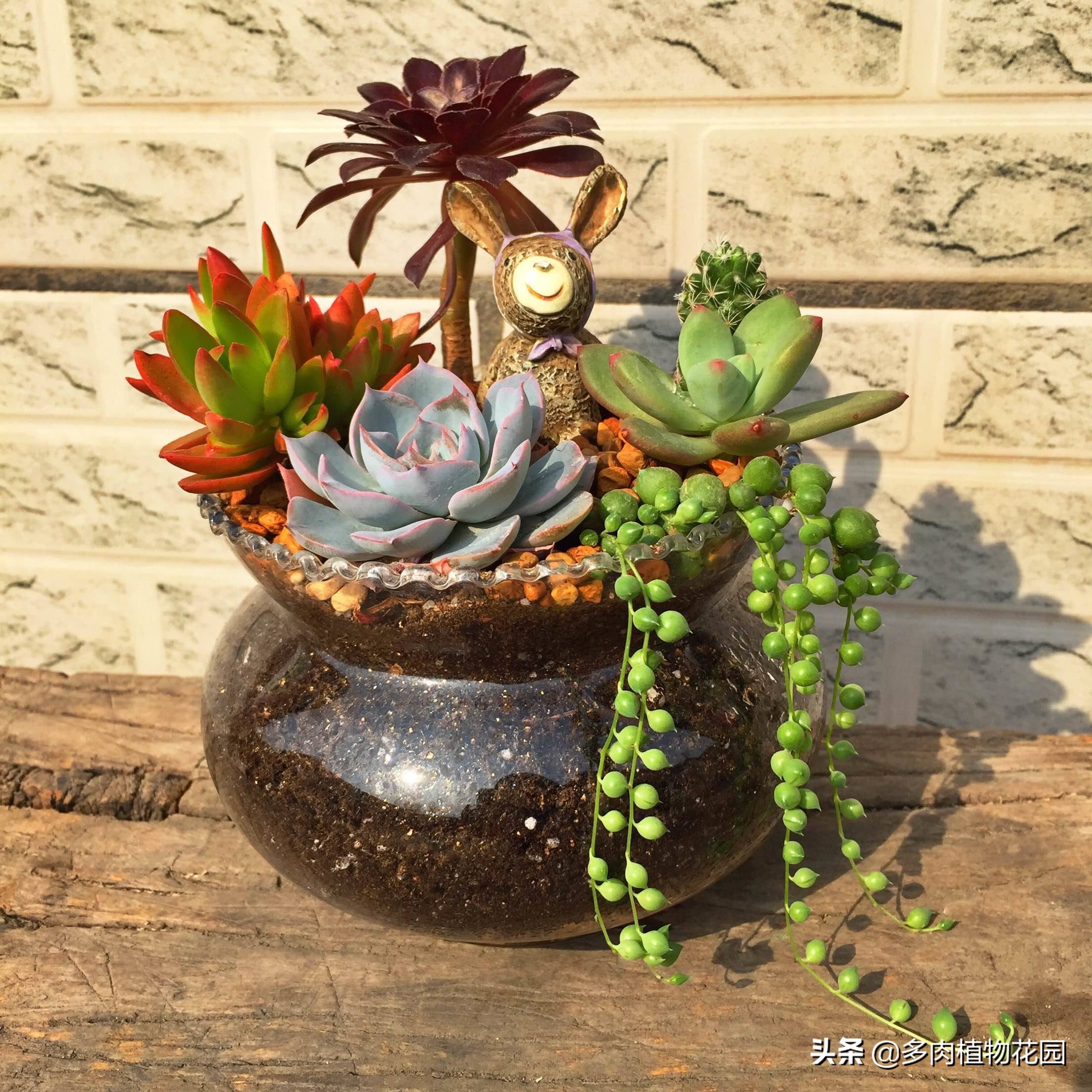 佛珠怎么养又圆又好看,佛珠不戴了要怎么处理