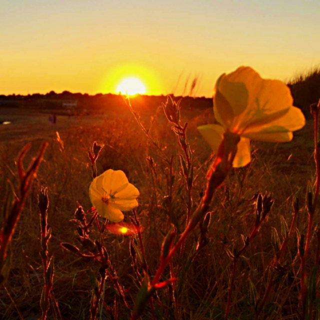白带异常怎么看,白带异常有臭味