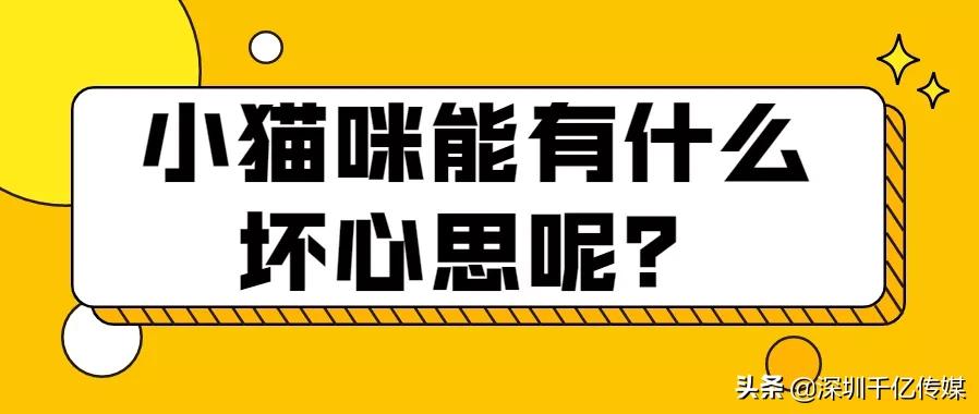 2021年十大词汇热词,2021年流行的网络热词有哪些
