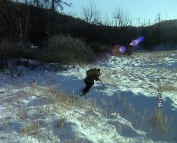 斯琴高娃主演的电影归心如箭,归心似箭电影斯琴高娃