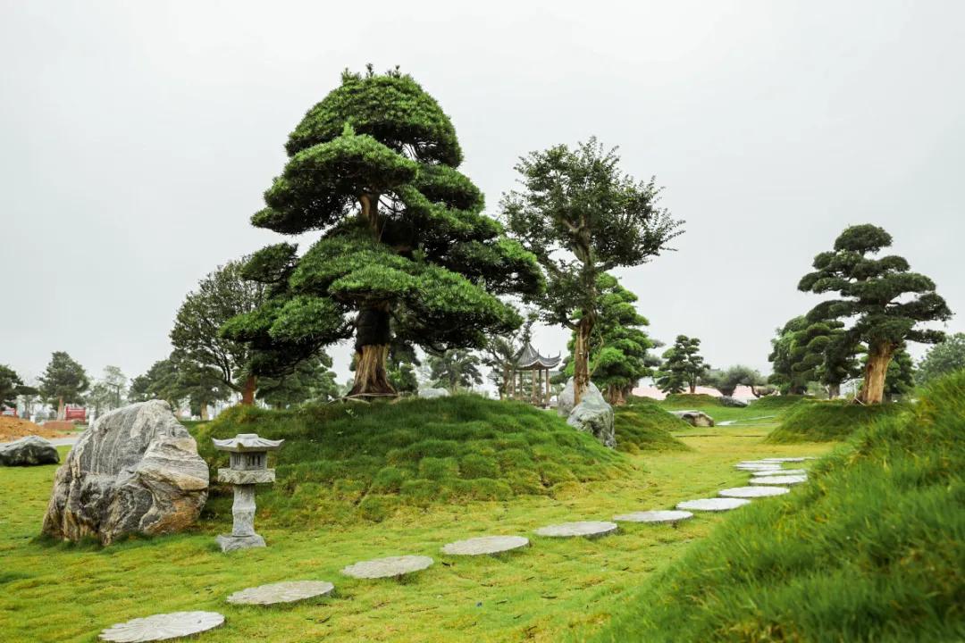 在大山深处幽静绝美的村落,深藏大山中的村落