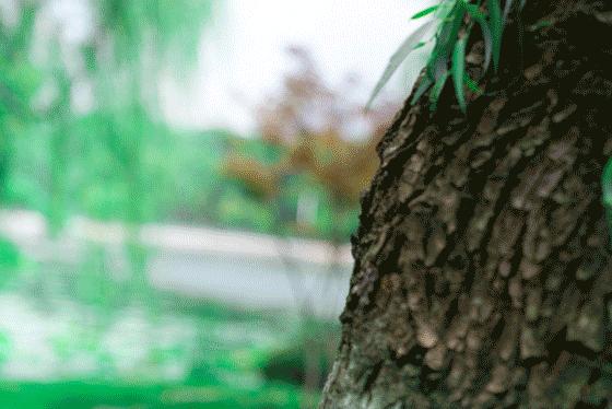 kakaofriends名创优品盲盒,kakao联名款保温杯名创优品