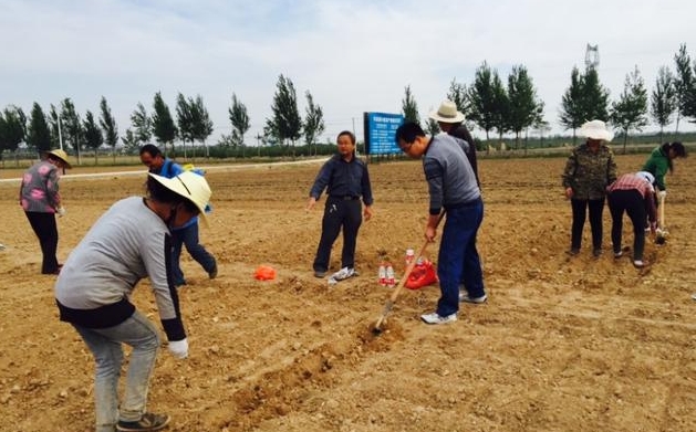 水稻育秧阶段问题及解决方案,水稻育苗稀了怎么办