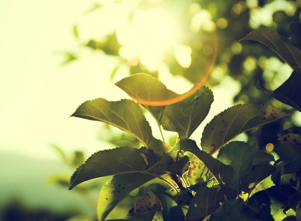 让人又爱又恨的男的,让人又恨又爱的人是什么性格