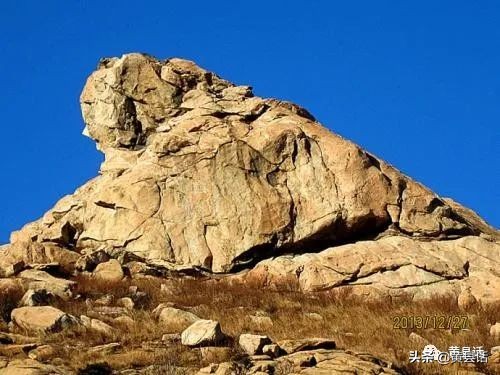 蹲犬山是大沽河的发源地吗？