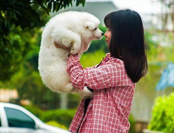 狗狗恨你的7大表现你家狗子有吗,狗狗有这些反应不是把你当主人