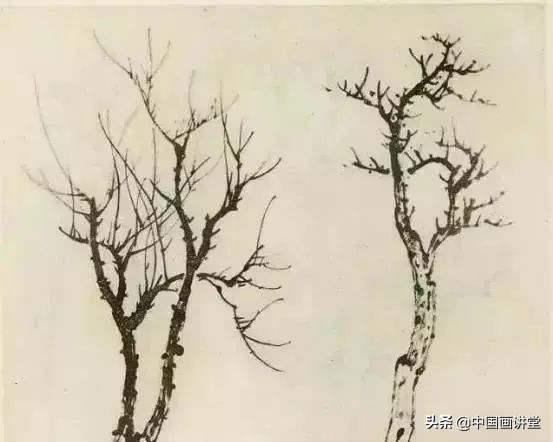 缠枝、挺杆、屈节、钮裂、一棵树如何画？看了这篇你绝对能学会