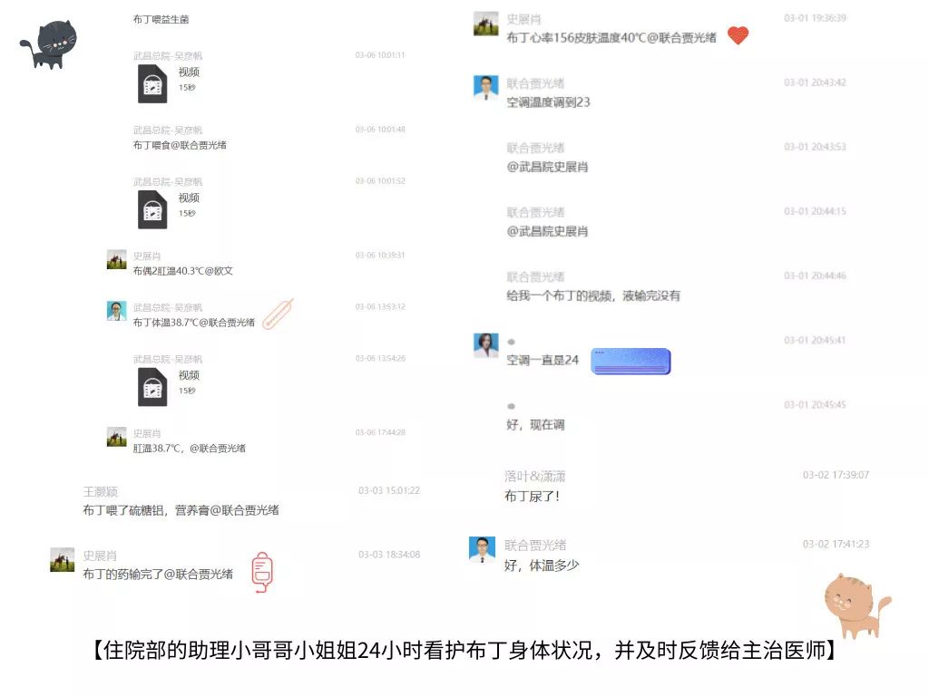 猫瘟到底能不能治好,猫瘟是不是不治必死