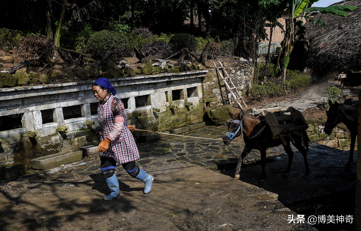 红河哈尼族彝族自治州阿者科村,云南元阳哈尼梯田阿者科村