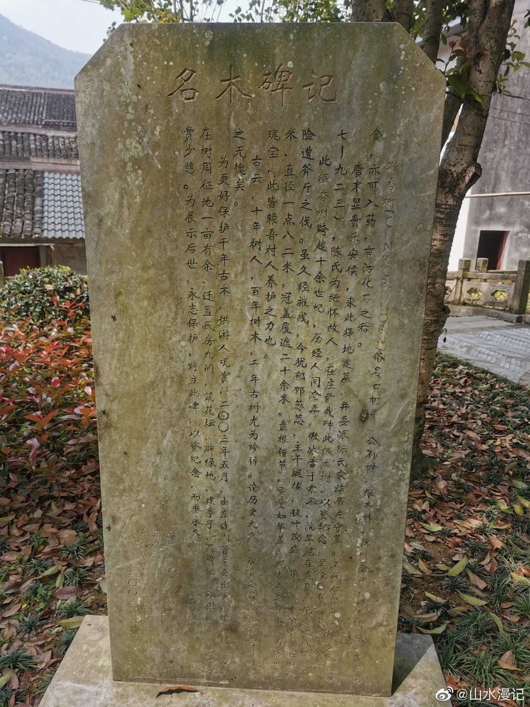 城杨村攻略,东钱湖城杨村游记