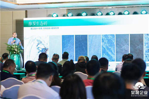 维罗生态砖整装,维罗生态砖欢迎新老客户